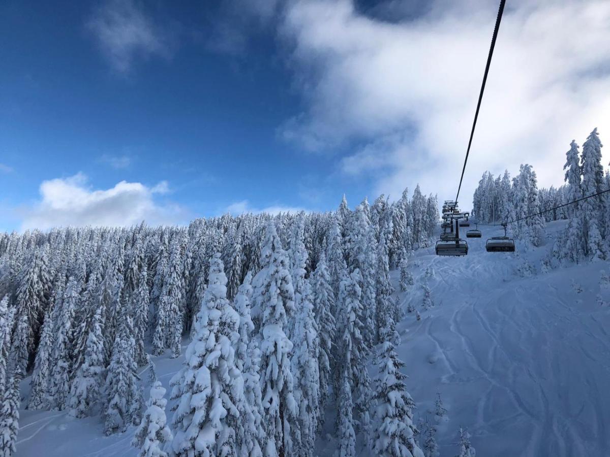 Apparthotel Restaurant Steiners Eben Im Pongau Exteriér fotografie